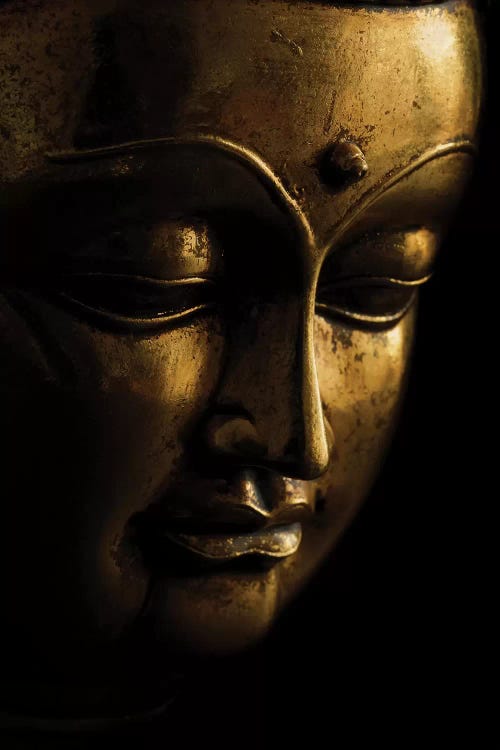 Gold Buddha On Black Canvas Wall Art by Tom Quartermaine | iCanvas