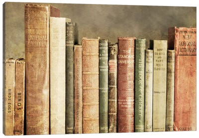 Old Books On A Shelf Canvas Art Print - Vintage Styled Photography