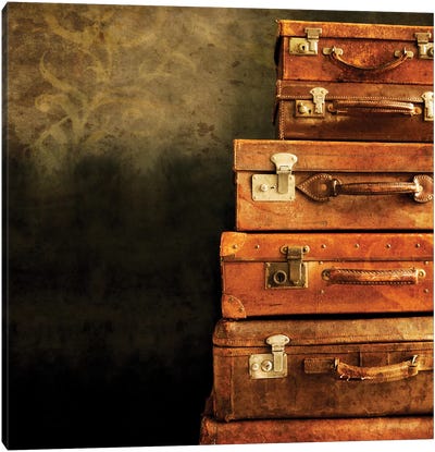 Antique Luggage Suitcases Canvas Art Print - Tom Quartermaine