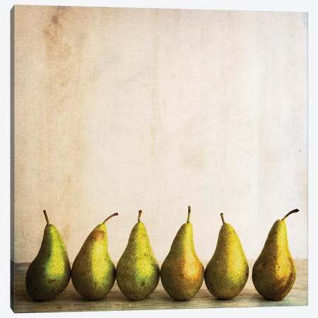 Row Of Antique Pears Canvas Print #TQU275} by Tom Quartermaine Art Print
