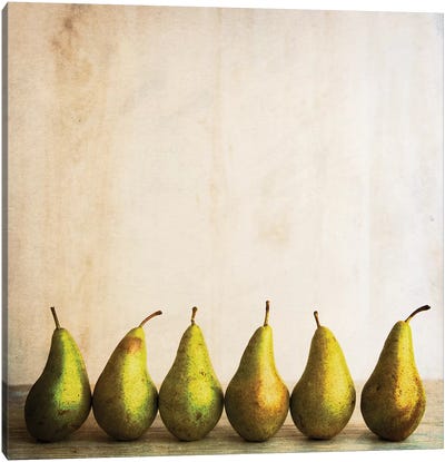 Row Of Antique Pears Canvas Art Print - Tom Quartermaine