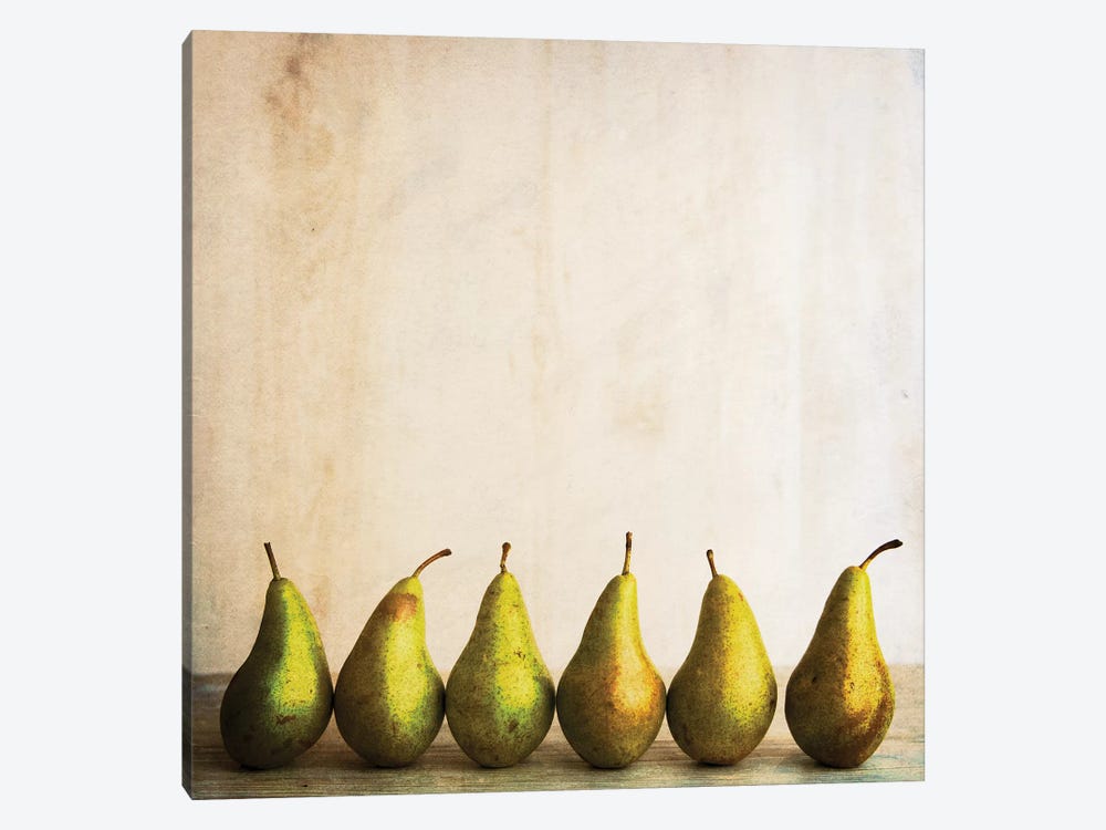 Row Of Antique Pears by Tom Quartermaine 1-piece Art Print