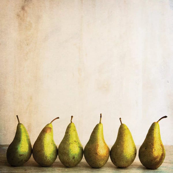 Still Life Photography: Row Of Antique Pears by Tom Quartermaine