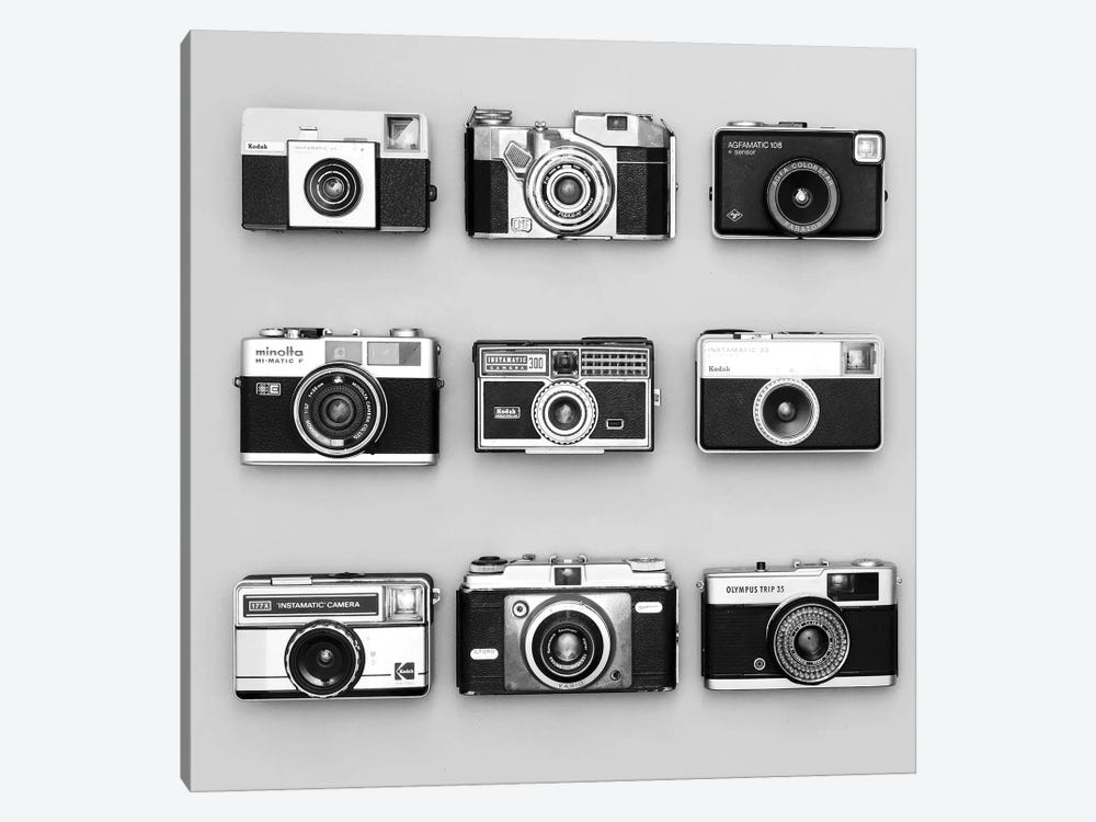 Set Of 9 Antique Cameras by Tom Quartermaine 1-piece Canvas Print