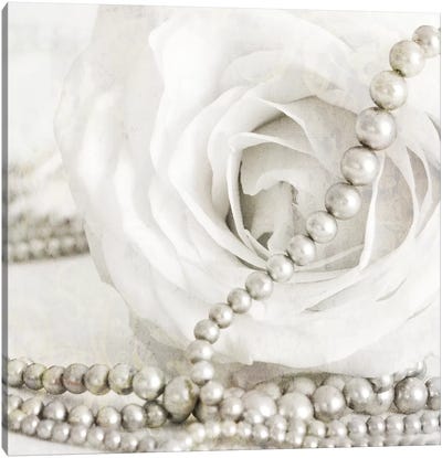 White Rose With Pearls Canvas Art Print - Tom Quartermaine