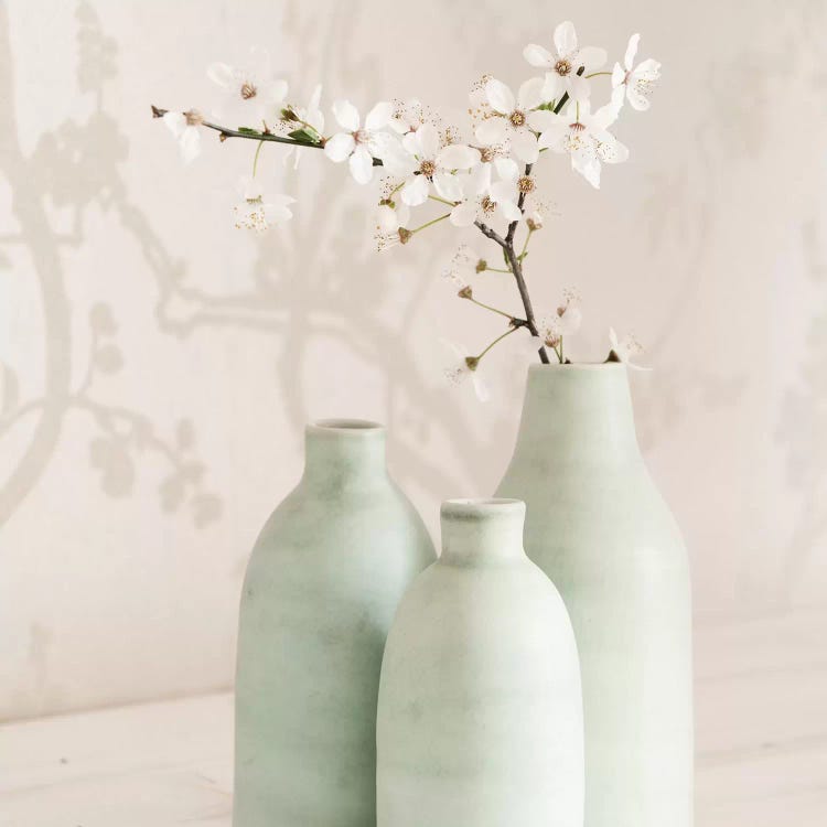 Blossom With 3 Vases