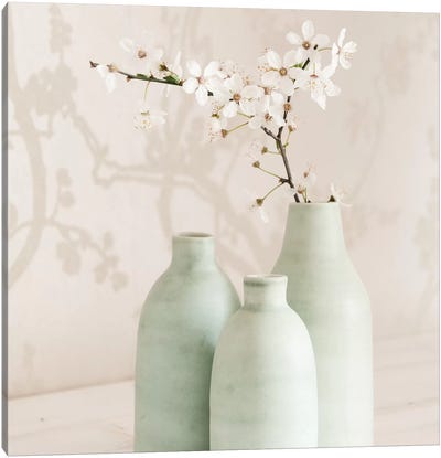 Blossom With 3 Vases Canvas Art Print - Pottery Still Life