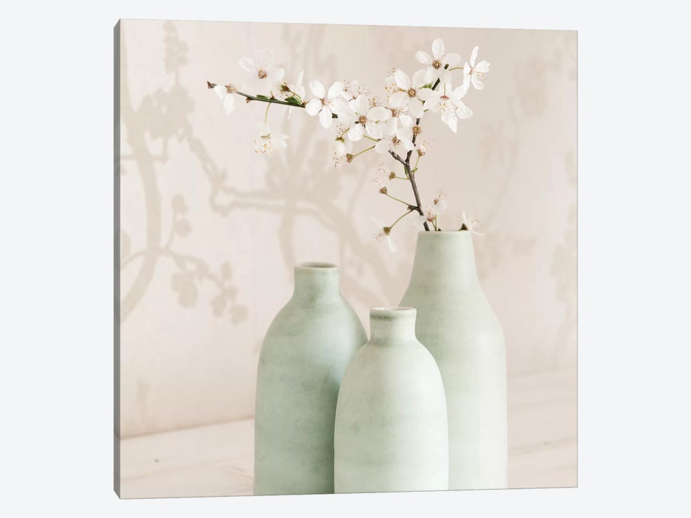 Blossom With 3 Vases by Tom Quartermaine 1-piece Canvas Art Print