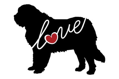 Saint Bernard by Traci Anderson canvas print