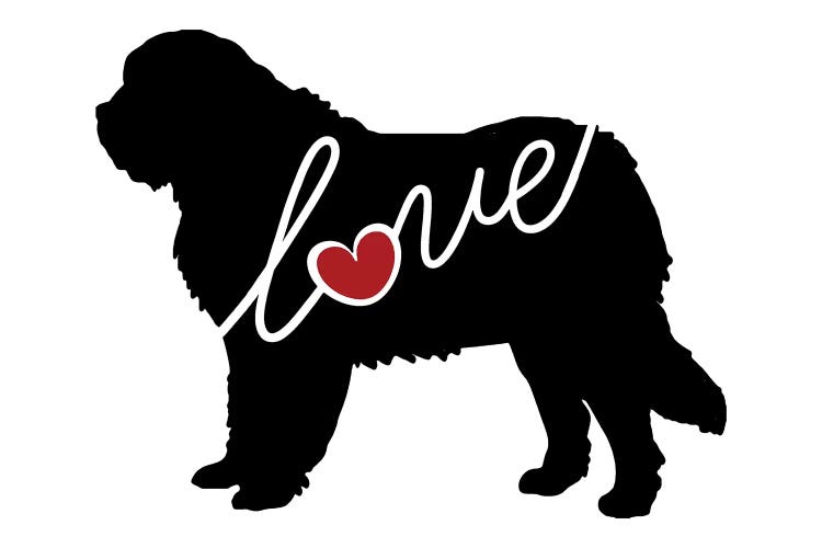 Saint Bernard by Traci Anderson wall art