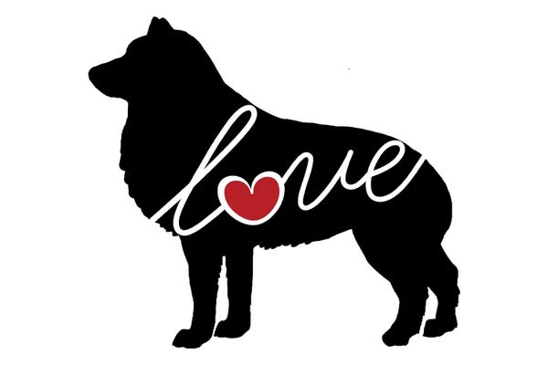 Traci Anderson: Schipperke by Traci Anderson