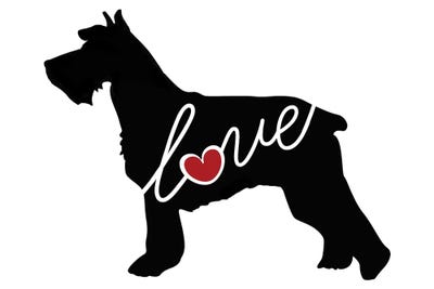 Schnauzer by Traci Anderson metal wall art