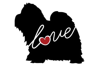 Shihtzu by Traci Anderson framed wall art