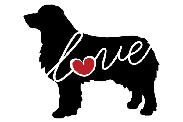Traci Anderson: Australian Shepherd by Traci Anderson