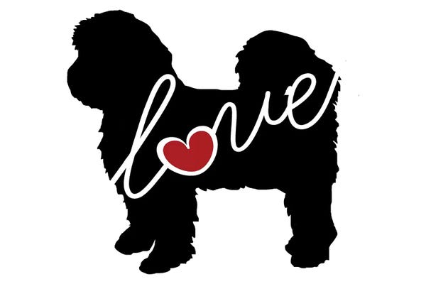 Traci Anderson: Shih Tzu Short Hair by Traci Anderson