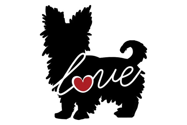 Terriers: Short Haired Yorkie by Traci Anderson