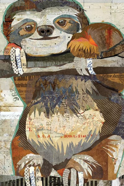 Sloth by Traci Anderson canvas print