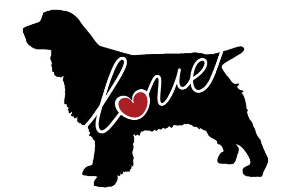 Traci Anderson: Springer Spaniel by Traci Anderson