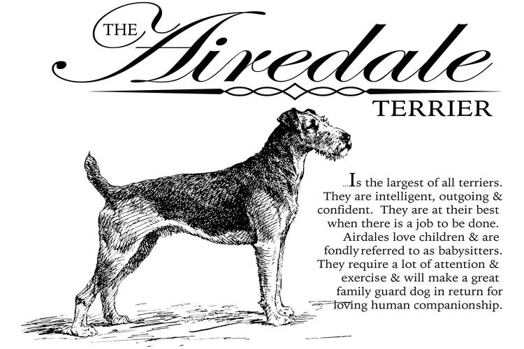 Vintage Airedale Terrier Storybook Style