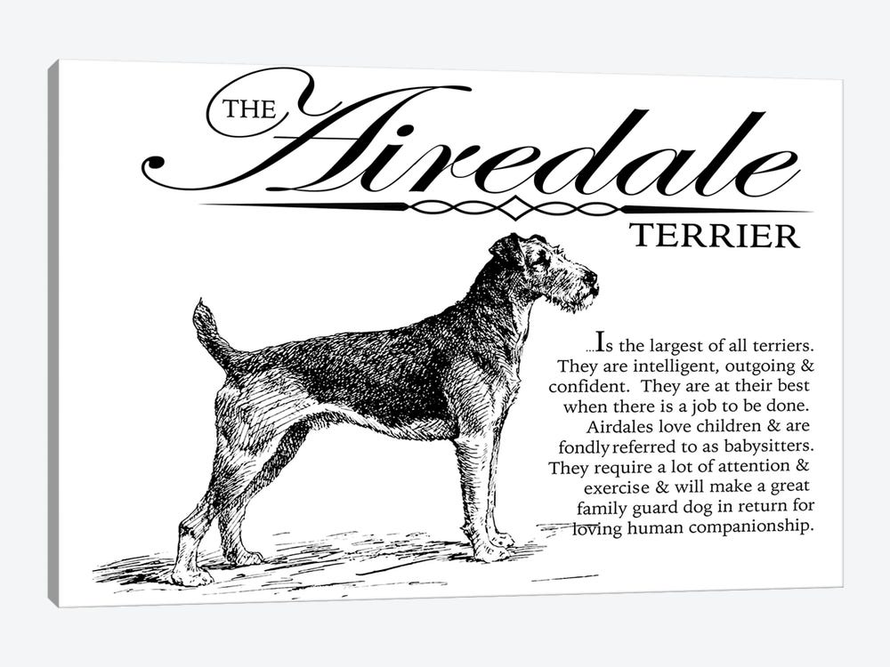 Vintage Airedale Terrier Storybook Style by Traci Anderson 1-piece Art Print
