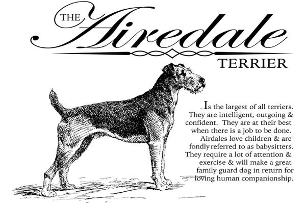 Vintage Airedale Terrier Storybook Style