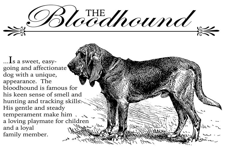 Vintage Bloodhound Storybook Style