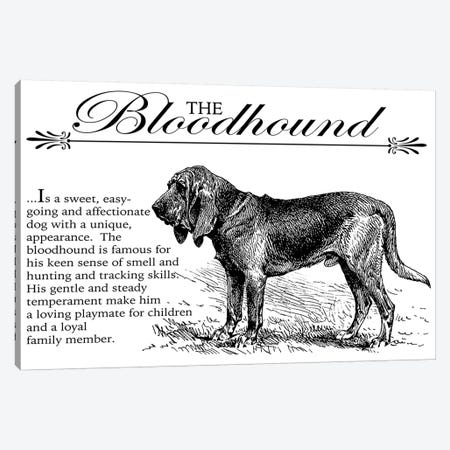 Vintage Bloodhound Storybook Style Canvas Print #TRA120} by Traci Anderson Canvas Art