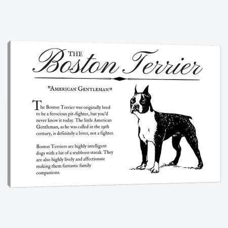Vintage Boston Terrier Canvas Print #TRA121} by Traci Anderson Canvas Art