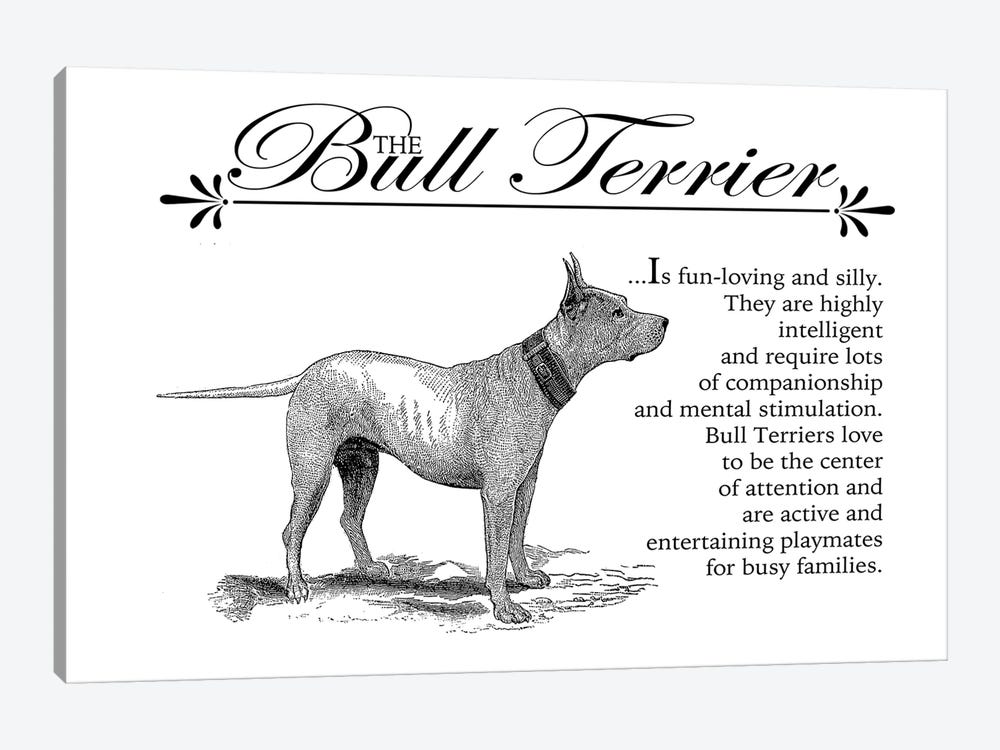 Vintage Bull Terrier Storybook Style by Traci Anderson 1-piece Canvas Art Print