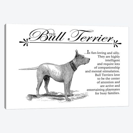 Vintage Bull Terrier Storybook Style Canvas Print #TRA122} by Traci Anderson Canvas Artwork