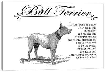 Vintage Bull Terrier Storybook Style Canvas Art Print - Bull Terrier Art
