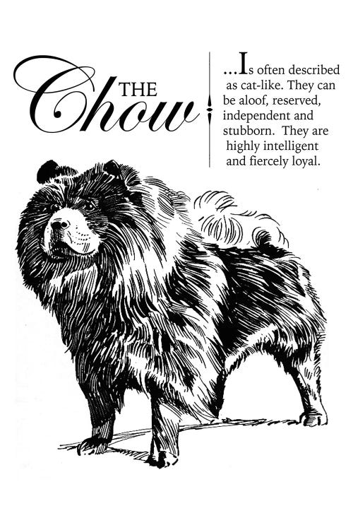 Vintage Chow Storybook Style