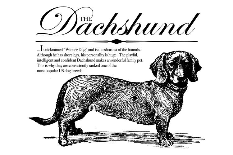 Vintage Dachshund Storybook Style