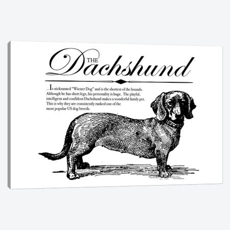 Vintage Dachshund Storybook Style Canvas Print #TRA125} by Traci Anderson Canvas Print