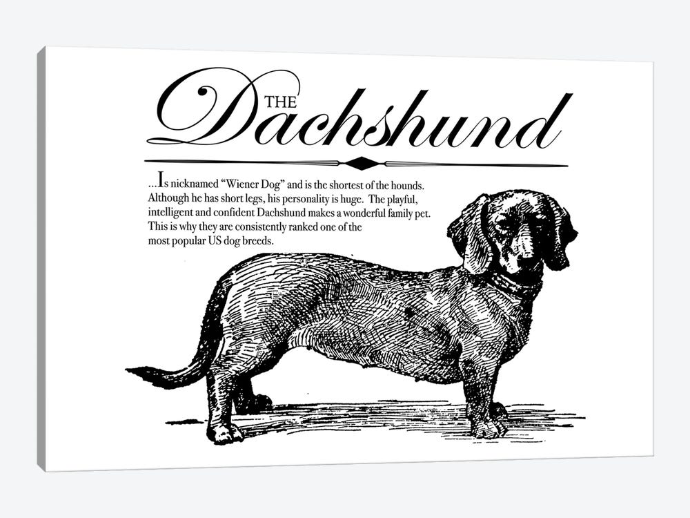 Vintage Dachshund Storybook Style by Traci Anderson 1-piece Canvas Wall Art