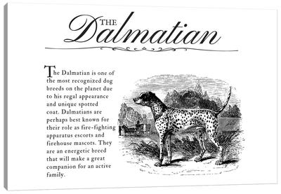 Vintage Dalmatian Storybook Style Canvas Art Print - Dalmatian Art
