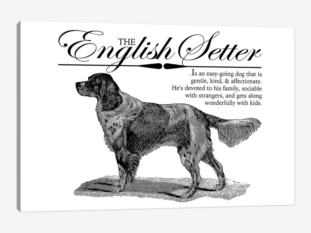 Vintage English Setter Storybook Style by Traci Anderson 1-piece Canvas Wall Art