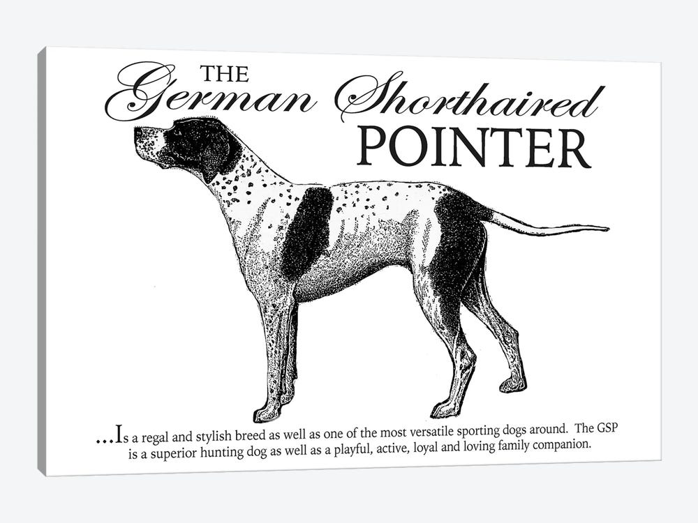 Vintage German Shorthaired Pointer Storybook Style by Traci Anderson 1-piece Art Print