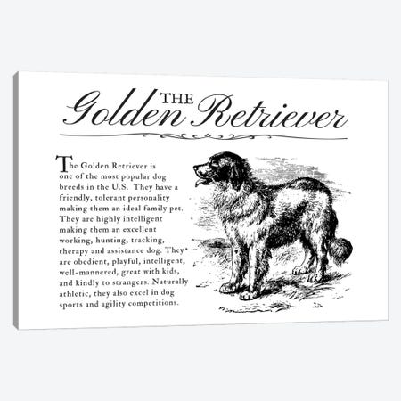 Vintage Golden Retriever Storybook Style Canvas Print #TRA129} by Traci Anderson Canvas Wall Art