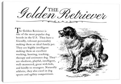 Vintage Golden Retriever Storybook Style Canvas Art Print - Golden Retriever Art