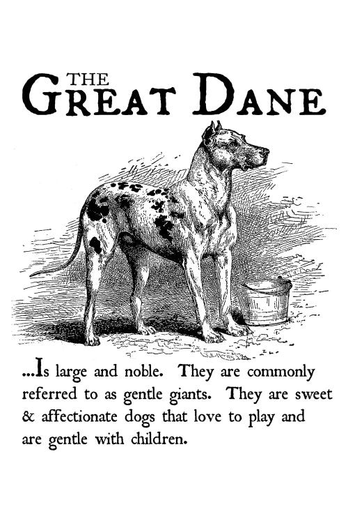 Vintage Great Dane Storybook Style