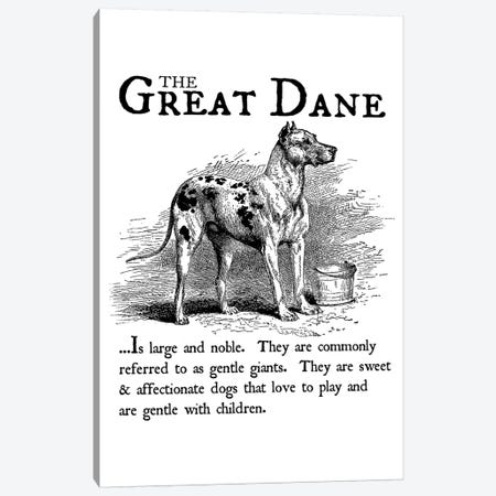 Vintage Great Dane Storybook Style Canvas Print #TRA130} by Traci Anderson Art Print