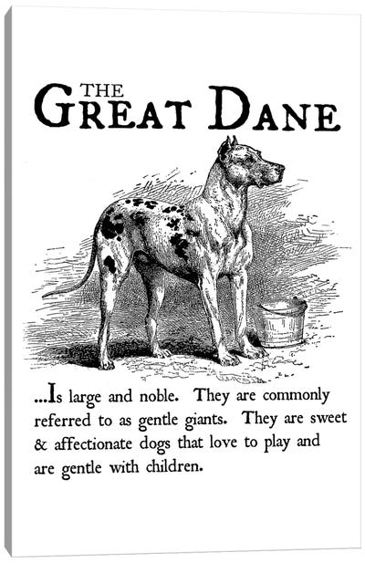Vintage Great Dane Storybook Style Canvas Art Print - Great Dane Art
