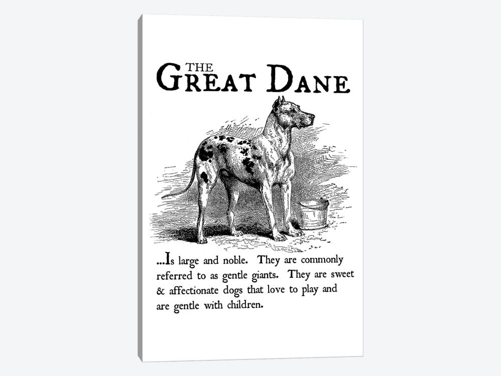 Vintage Great Dane Storybook Style by Traci Anderson 1-piece Canvas Artwork