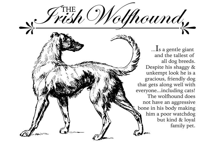 Vintage Irish Wolfhound Storybook Style