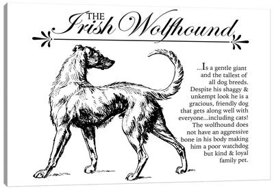 Vintage Irish Wolfhound Storybook Style Canvas Art Print - Traci Anderson