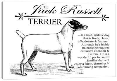 Vintage Jack Russell Storybook Style Canvas Art Print - Jack Russell Terrier Art