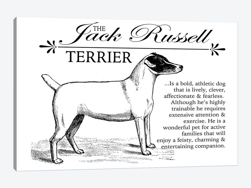 Vintage Jack Russell Storybook Style by Traci Anderson 1-piece Canvas Wall Art
