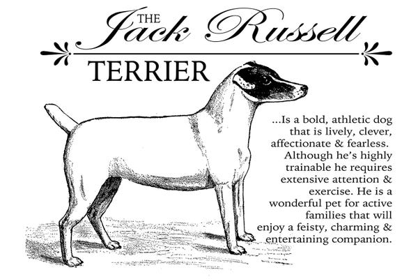 Vintage Jack Russell Storybook Style