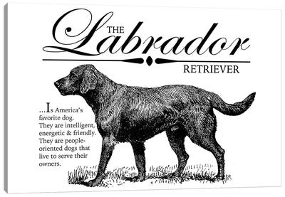 Vintage Labrador Retriever Storybook Style Canvas Art Print - Labrador Retriever Art